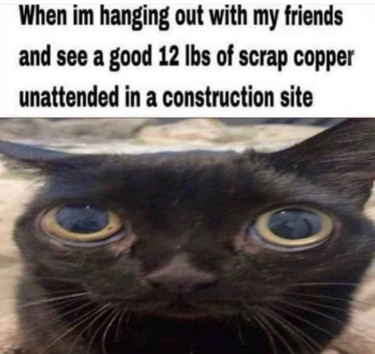 jinx